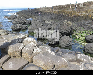 Giant es Causeway, Bushmills, Nordirland Stockfoto