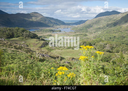 Ladies View, Killarney National Park; County Kerry; Irland Stockfoto