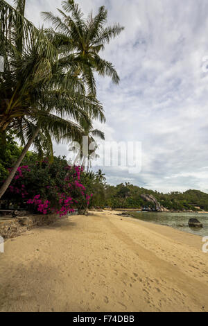Am Strand von Koh Tao, Thailand Stockfoto