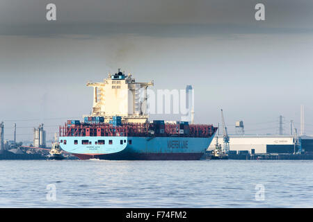 Das Containerschiff Maersk Lota Tilbury-Port auf der Themse zu betreten. Stockfoto