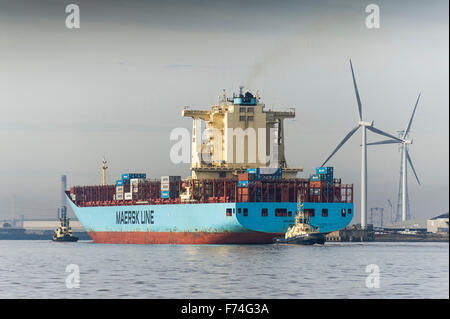 Das Containerschiff Maersk Lota Tilbury-Port auf der Themse zu betreten. Stockfoto