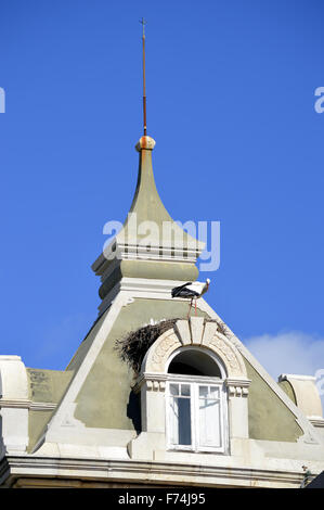 Störche nisten auf dem Dach des Bogens Ausfahrt durch die Umfassungsmauer des alten Faro Stockfoto