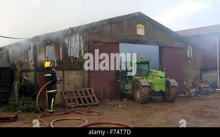 Fareham, Hampshire, UK. 25. November 2015. Feuer-Crews von Fareham, Gosport und Hightown wurden heute Nachmittag in einer Scheune-Farm in Brownwich Lane in Titchfield genannt. Hampshire Feuer und Rettung Service Watch Manager Ian Cambridge von Fareham sagte: "Wenn die erste Mannschaft besuchte die Scheune gut erleuchtet war." Er fuhr dann fort, loben die Bemühungen der teilnehmenden Mannschaften und die harte Arbeit, die sie setzen, um die Feuersbrunst zu zwei anderen angrenzenden Scheunen Ausbreitung zu stoppen. Ein Wasserträger hatte, aufgrund der begrenzten Wasserversorgung im Bereich aufgerufen werden. Bildnachweis: Uknip/Alamy Live-Nachrichten Stockfoto