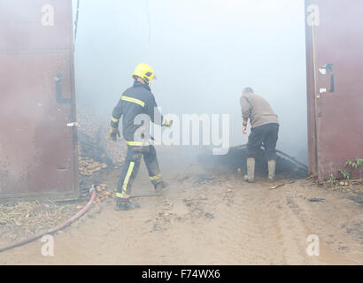 Fareham, Hampshire, UK. 25. November 2015. Feuer-Crews von Fareham, Gosport und Hightown wurden heute Nachmittag in einer Scheune-Farm in Brownwich Lane in Titchfield genannt. Hampshire Feuer und Rettung Service Watch Manager Ian Cambridge von Fareham sagte: "Wenn die erste Mannschaft besuchte die Scheune gut erleuchtet war." Er fuhr dann fort, loben die Bemühungen der teilnehmenden Mannschaften und die harte Arbeit, die sie setzen, um die Feuersbrunst zu zwei anderen angrenzenden Scheunen Ausbreitung zu stoppen. Ein Wasserträger hatte, aufgrund der begrenzten Wasserversorgung im Bereich aufgerufen werden. Bildnachweis: Uknip/Alamy Live-Nachrichten Stockfoto