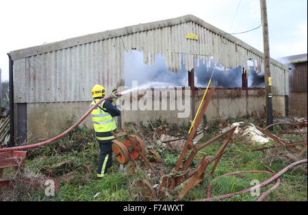 Fareham, Hampshire, UK. 25. November 2015. Feuer-Crews von Fareham, Gosport und Hightown wurden heute Nachmittag in einer Scheune-Farm in Brownwich Lane in Titchfield genannt. Hampshire Feuer und Rettung Service Watch Manager Ian Cambridge von Fareham sagte: "Wenn die erste Mannschaft besuchte die Scheune gut erleuchtet war." Er fuhr dann fort, loben die Bemühungen der teilnehmenden Mannschaften und die harte Arbeit, die sie setzen, um die Feuersbrunst zu zwei anderen angrenzenden Scheunen Ausbreitung zu stoppen. Ein Wasserträger hatte, aufgrund der begrenzten Wasserversorgung im Bereich aufgerufen werden. Bildnachweis: Uknip/Alamy Live-Nachrichten Stockfoto