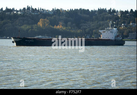 Seattle, Washington, USA. 21. November 2015. Gallia Graeca, eine 39.000 plus Tonne Schüttgut Frachtfluggesellschaft, Arm an Wasser, geladen und in Seattles Elliot Bay vor Anker liegt. © David Bro/ZUMA Draht/Alamy Live-Nachrichten Stockfoto