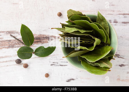 Lorbeerblätter auf weißem Holz strukturierten Hintergrund. Küchenkraut, Kochen, Zutaten und Heilkraut. Stockfoto