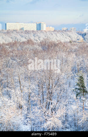 Wald und Stadt Häuser im Winter Schnee Stockfoto