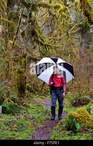 WA12144-00... WASHINGTON - Wanderer auf dem Hoh River Trail in der Nähe von Happy vier Tierheim in Olympic Nationalpark. Stockfoto