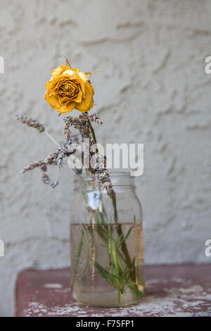 Getrocknete gelbe Rose in einem Glas Stockfoto