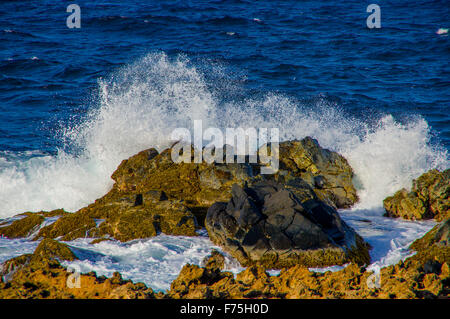 Riesige Wellen auf den Felsen von Aruba, ABC Inseln der Karibik Stockfoto