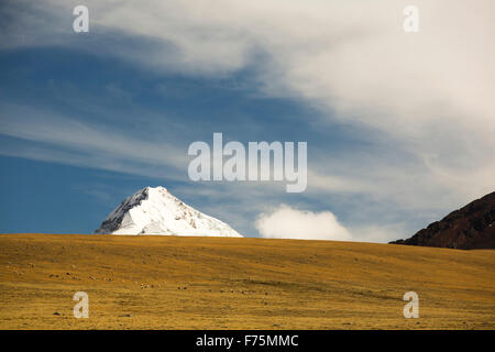 Blick über das Altiplano mit Lamas Weiden in den Schnee bedeckt Anden Gipfel des Huayna Potosi in Bolivien. Stockfoto