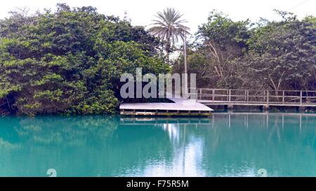 Laguna de Las Ninfas, einem Salzwasser-Lagune in der Stadt Puerto Ayora auf Santa Cruz Island auf den Galapagos Inseln. Stockfoto