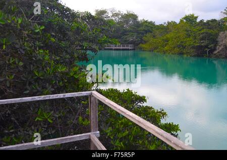 Laguna de Las Ninfas, einem Salzwasser-Lagune in der Stadt Puerto Ayora auf Santa Cruz Island auf den Galapagos Inseln. Stockfoto