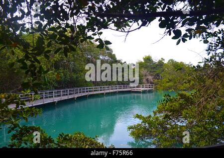 Laguna de Las Ninfas, einem Salzwasser-Lagune in der Stadt Puerto Ayora auf Santa Cruz Island auf den Galapagos Inseln. Stockfoto