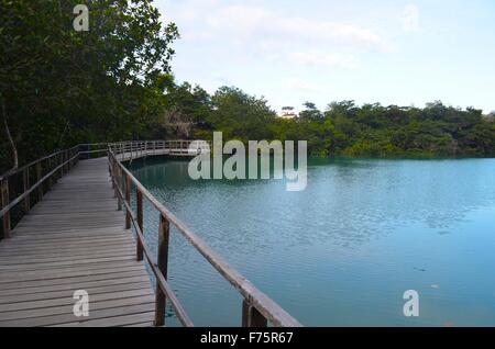 Laguna de Las Ninfas, einem Salzwasser-Lagune in der Stadt Puerto Ayora auf Santa Cruz Island auf den Galapagos Inseln. Stockfoto