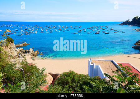 Calella de Parafrugell in Girona-Costa Brava in Katalonien Spanien Stockfoto