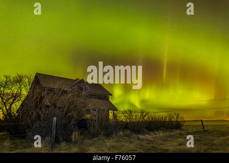 Eine Darstellung der Nordlichter über einem alten Pionier Bauernhaus im Süden von Alberta, am 15. April 2015. Dies ist eine einzelne 15-Sekunden-e Stockfoto