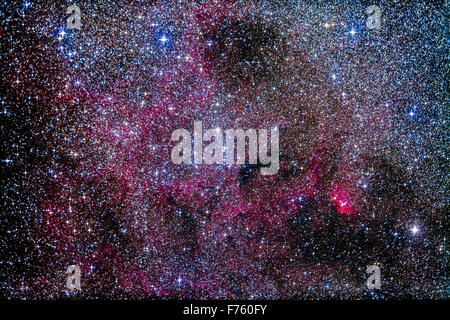 Groß, locker und hell öffnen Cluster NGC 6871 (Mitte) im zentralen Cygnus in eine reiche Starfield der Milchstraße. Die rote nebul Stockfoto