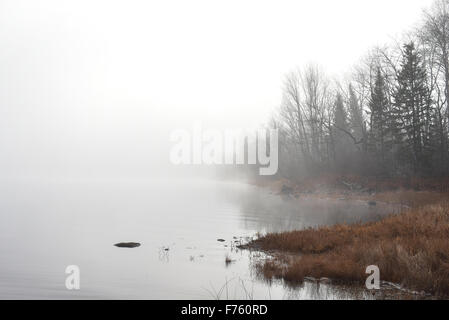 Dichter Nebel langsam entlang des Flusses, diffuses Sonnenlicht. Stockfoto