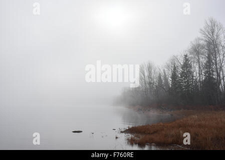 Dichter Nebel langsam entlang des Flusses, diffuses Sonnenlicht. Stockfoto