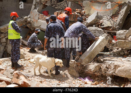Polizisten suchen Leichen, Erdbeben, Nepal, Asien Stockfoto
