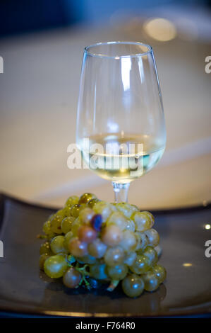 Südafrika - grüne Trauben vor Glas mit Weißwein. Stockfoto