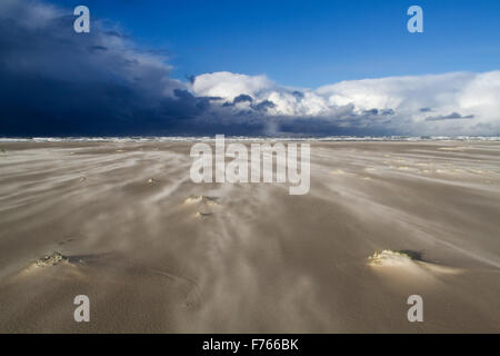 Einen wilden Tag am Strand: ein Sandsturm und tiefe Wolken über dem Meer, Schnee bringen Stockfoto