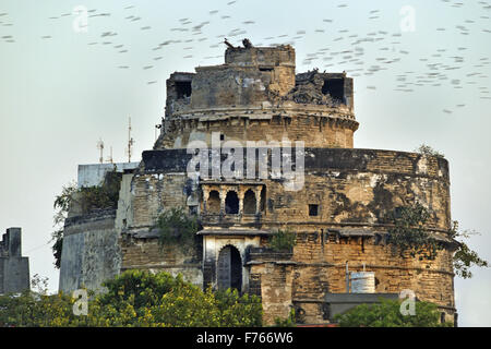 Bhujiyo Kotho Palace, Lakhota Palace, Lakhota Lake, jamnagar, gujarat, indien, asien Stockfoto