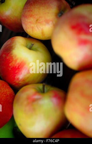 Rote und grüne Äpfel / Obst stall Stockfoto