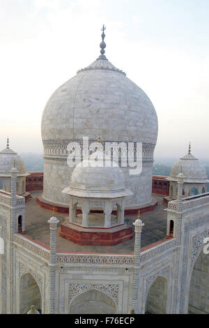 Taj Mahal, Agra, Uttar Pradesh, Indien, Asien Stockfoto