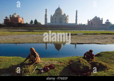 Taj Mahal, Agra, Delhi, Indien, Asien Stockfoto