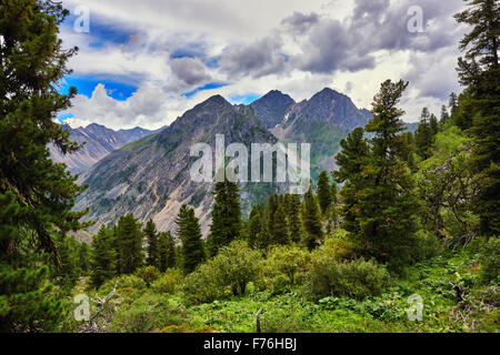Dunkle Nadel-Taiga. Wald Landschaft. Östliche Sajan-Gebirge Sibirien Stockfoto