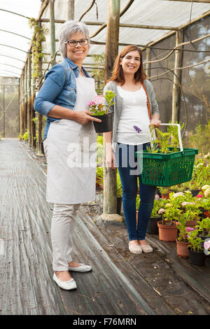 Schöne Reife Florist helfen einer Kundin Pflanzen wählen Stockfoto