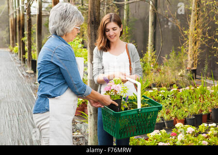 Schöne Reife Florist helfen einer Kundin Pflanzen wählen Stockfoto