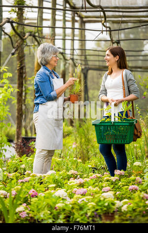 Schöne Reife Florist helfen einer Kundin Pflanzen wählen Stockfoto