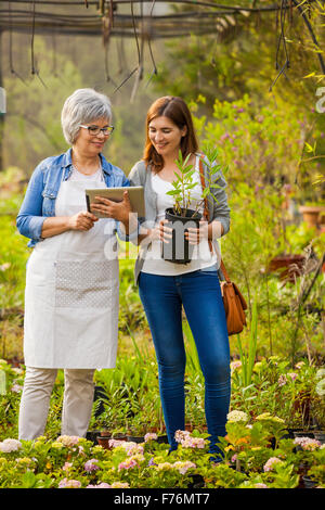 Schöne Reife Florist helfen einer Kundin Pflanzen wählen Stockfoto