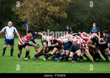 Hochschulsport, UK - Herren Rugby Union scrum Stockfoto