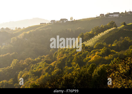 Römer Straße, Römerstraße, Sausal, Steiermark, Österreich, Einoed Stockfoto