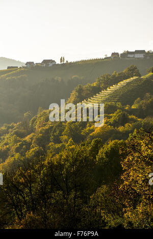 Römer Straße, Römerstraße, Sausal, Steiermark, Österreich, Einoed Stockfoto