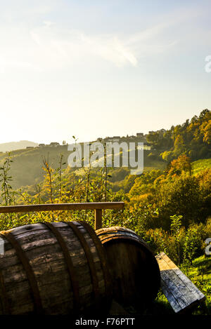 Römer Straße, Römerstraße, Sausal, Steiermark, Österreich, Einoed Stockfoto