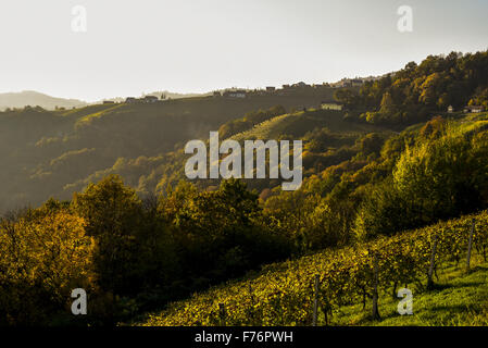 Römer Straße, Römerstraße, Sausal, Steiermark, Österreich, Einoed Stockfoto