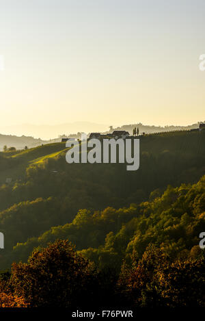 Römer Straße, Römerstraße, Sausal, Steiermark, Österreich, Einoed Stockfoto