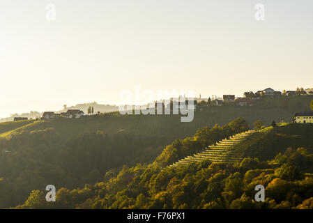 Römer Straße, Römerstraße, Sausal, Steiermark, Österreich, Einoed Stockfoto