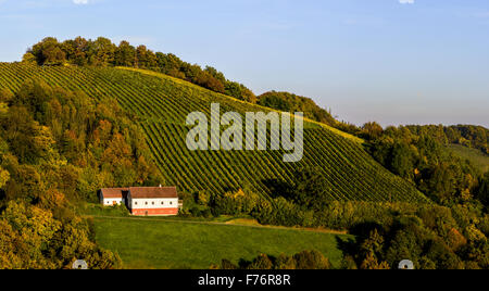 Römer Straße, Römerstraße, Sausal, Steiermark, Österreich, Einoed Stockfoto