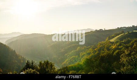 Römer Straße, Römerstraße, Sausal, Steiermark, Österreich, Einoed Stockfoto