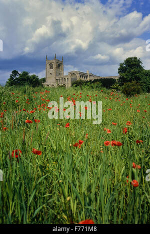 Heilige Dreifaltigkeit Stiftskirche, Tattershall, Lincolnshire, England, Großbritannien Stockfoto