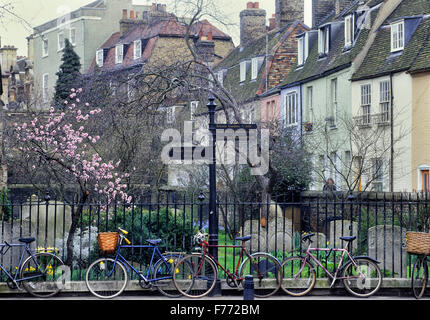 Gesperrten Student Fahrräder. Cambridge. Cambridgeshire. England. VEREINIGTES KÖNIGREICH. Europa Stockfoto