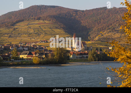 Wachau, Österreich, Niederösterreich, Weissenkirchen Stockfoto