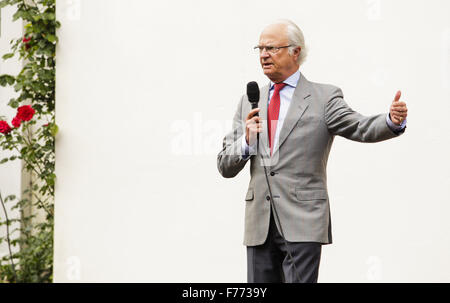 Talk, Porträt Stockfoto